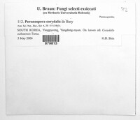 Image Associated With the Occurrence